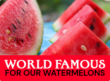 World Famous for our Watermelons